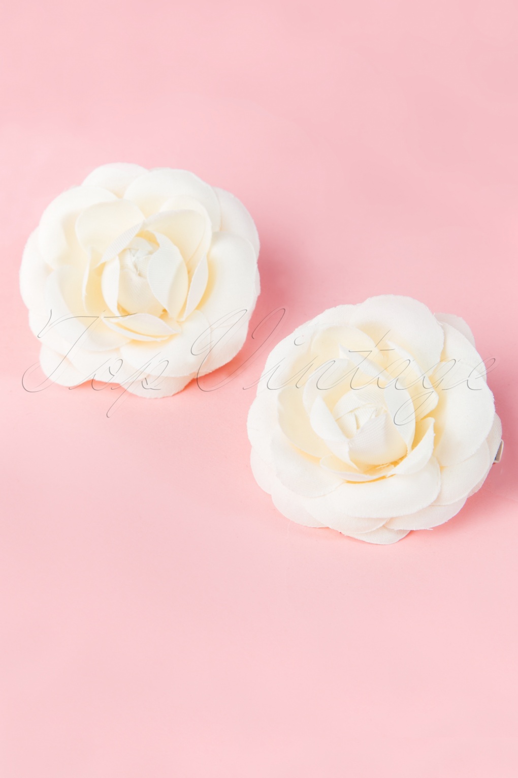 45199-From-Paris-with-love-2001013722-pair-of-cream-roses-20140708-0002w-full